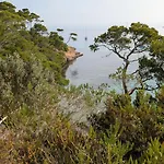 T3 Avec Terrasse, Parking&piscine - Proche Plages Et Randos - Le Mérou Appartement Hyères