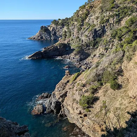 شقة T3 Avec Terrasse, Parking & Piscine - Proche Plages Et Randos - Le Merou Hyères