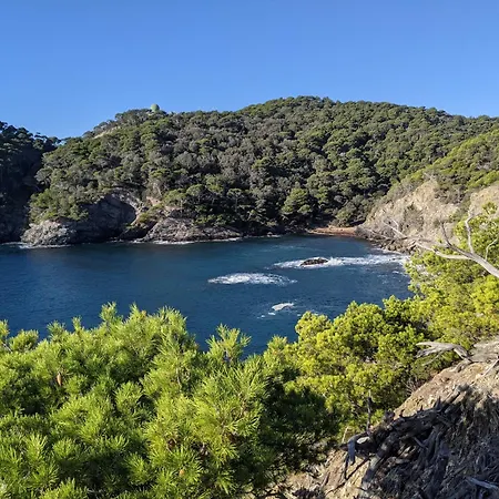 T3 Avec Terrasse, Parking&piscine - Proche Plages Et Randos - Le Mérou Hyères
