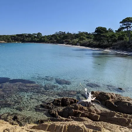 Appartement T3 Avec Terrasse, Parking&piscine - Proche Plages Et Randos - Le Mérou