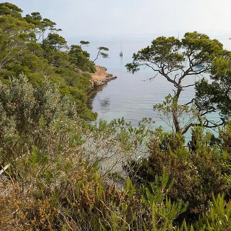 T3 Avec Terrasse, Parking & Piscine - Proche Plages Et Randos - Le Merou Lejlighed Hyères