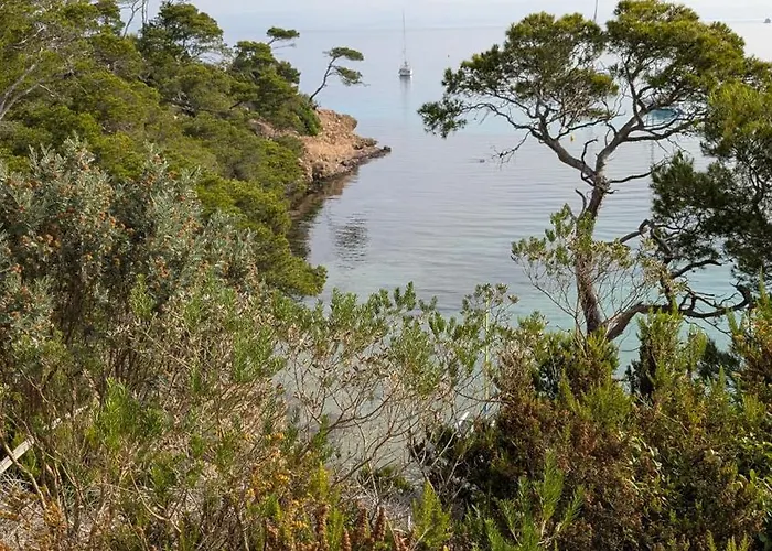 T3 Avec Terrasse, Parking & Piscine - Proche Plages Et Randos - Le Merou Apartment Hyeres