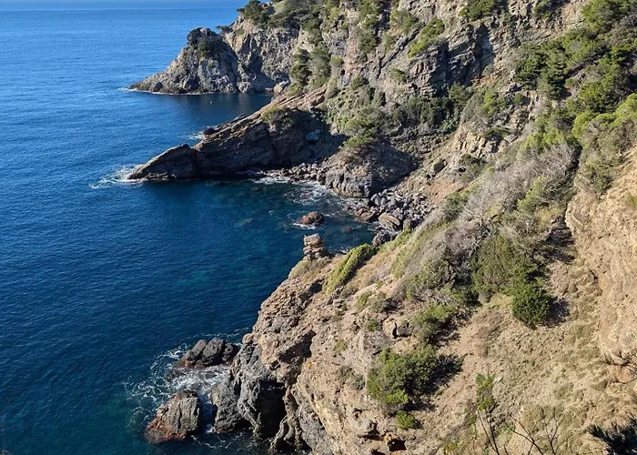 Apartment T3 Avec Terrasse, Parking & Piscine - Proche Plages Et Randos - Le Merou Hyeres