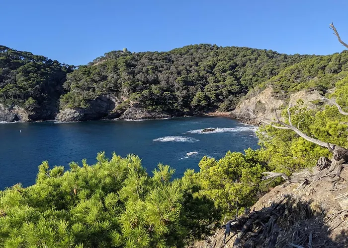 T3 Avec Terrasse, Parking & Piscine - Proche Plages Et Randos - Le Merou Hyeres