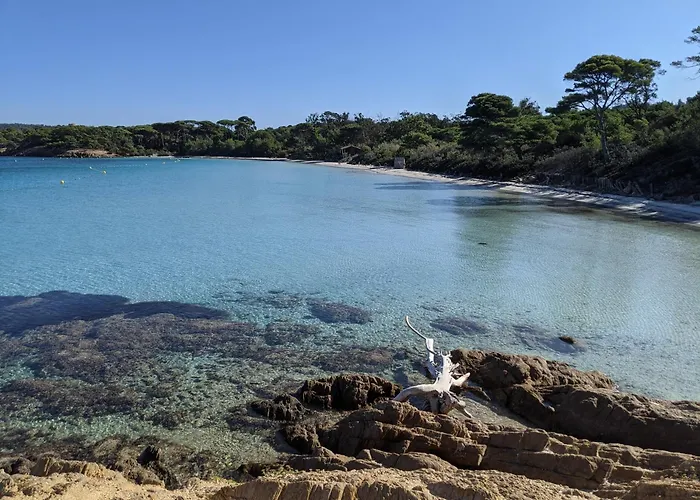 公寓 T3 Avec Terrasse, Parking & Piscine - Proche Plages Et Randos - Le Merou